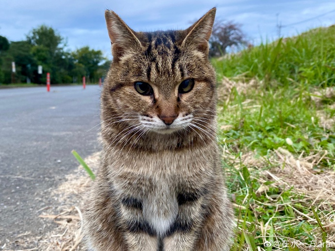 光影实验 — 手作工坊·轻纪录 缩略图