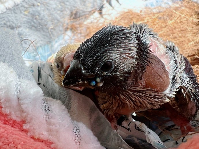 小鲸拍摄组 作品封面