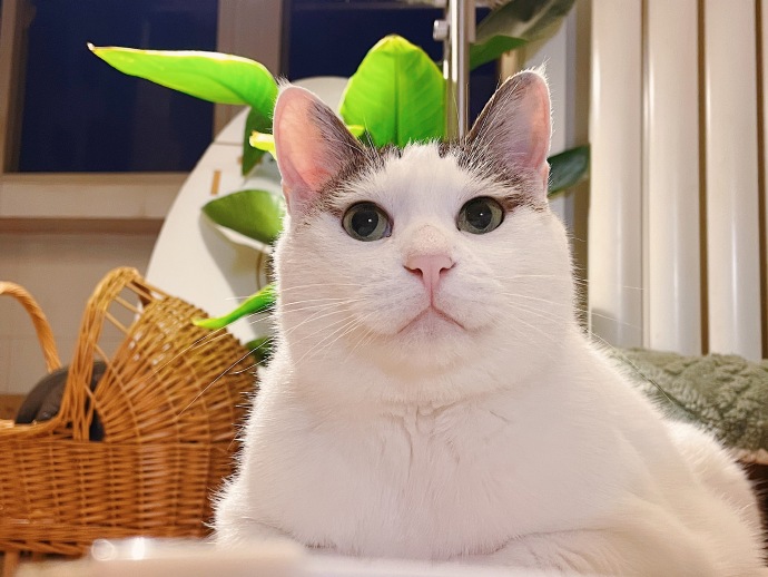 一镜到底 — 极限户外·第5集 缩略图